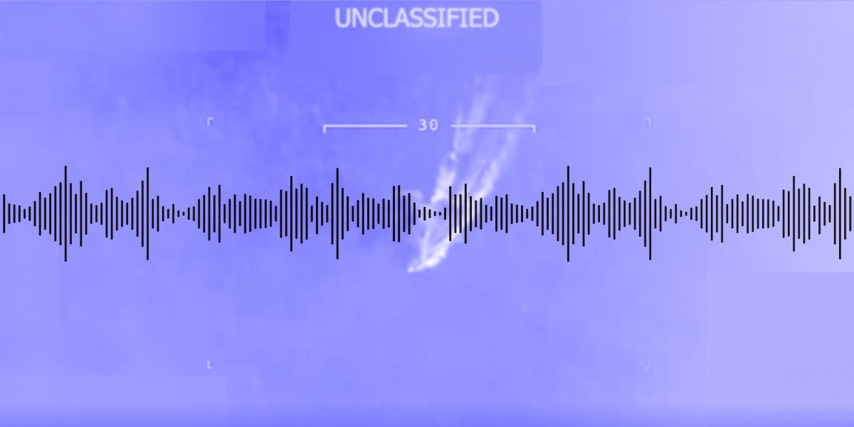 “Trump Has Appointed Himself, Judge, Jury, and Executioner”