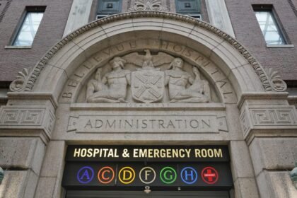 Palantir Gets Millions of Dollars From New York City’s Public Hospitals